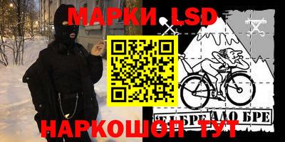 индика Кандалакша