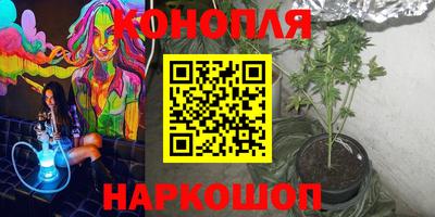 индика Кандалакша