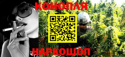 индика Кандалакша