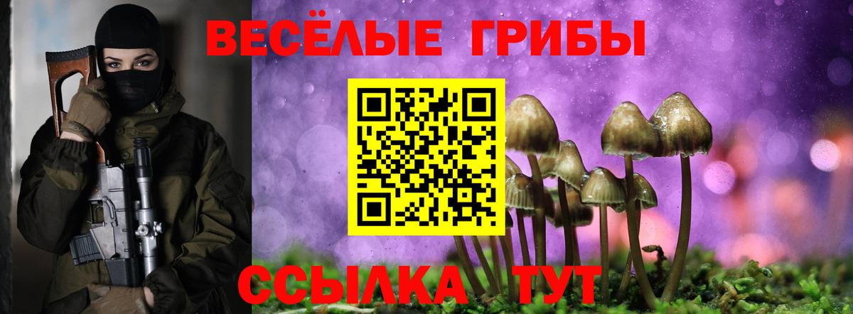 Геленджик  Псилоцибиновые грибы мицелий  Вход с VPN 